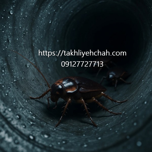 مشاهده حشرات موذی